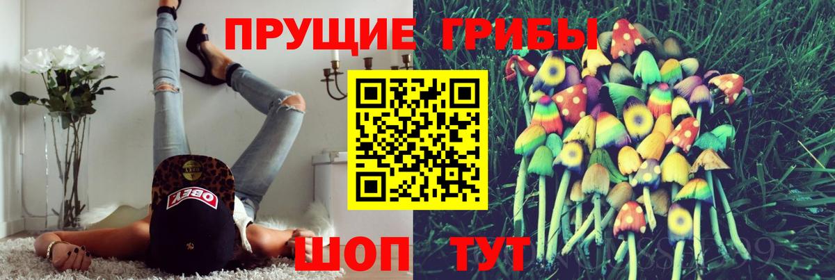Псилоцибиновые грибы GOLDEN TEACHER  Вход с VPN  Реж 